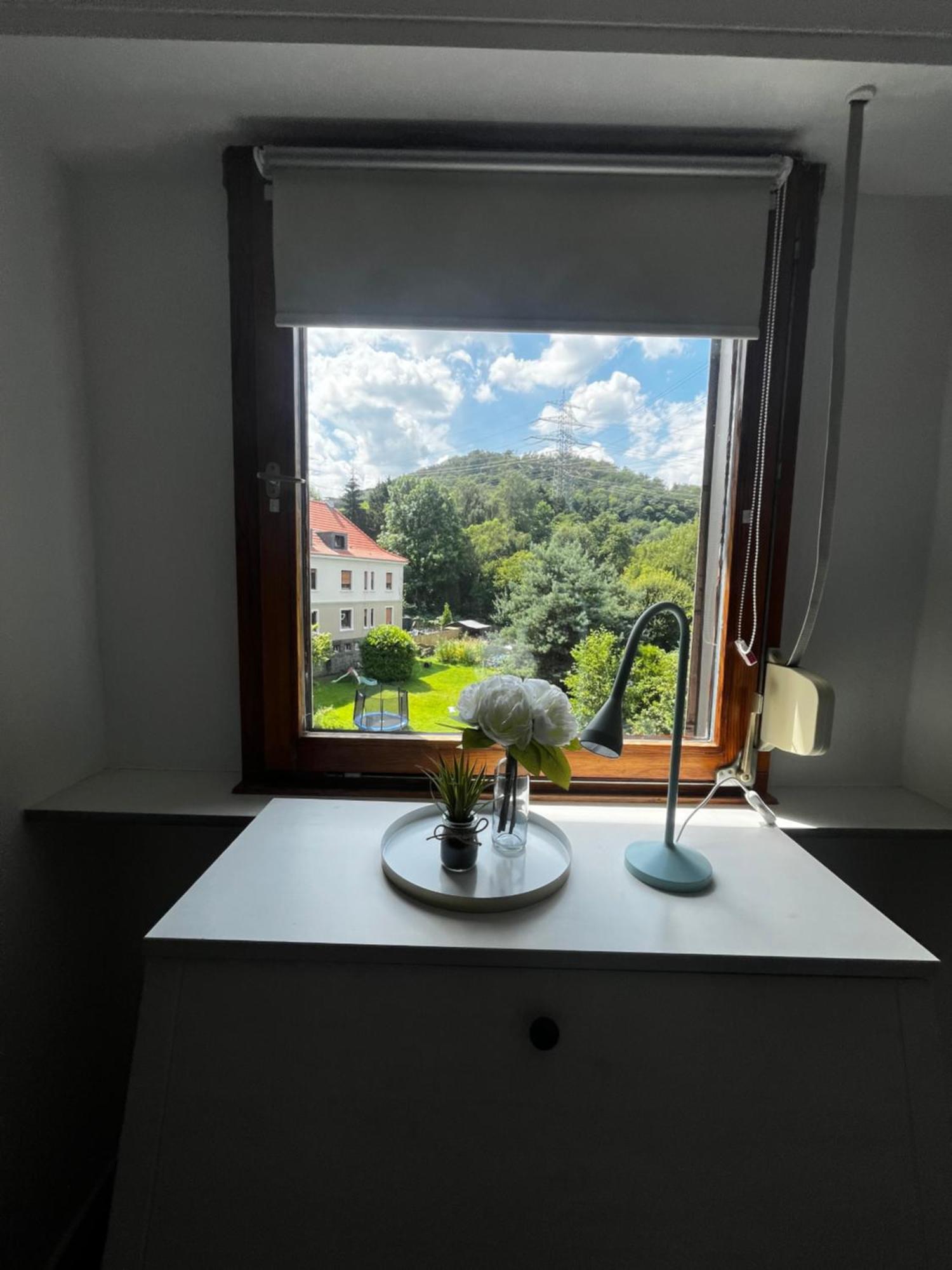 Idyllisch Wohnen An Der Ruhr Lejlighed Hattingen Eksteriør billede